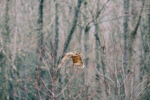 Processed with VSCO with c3 preset