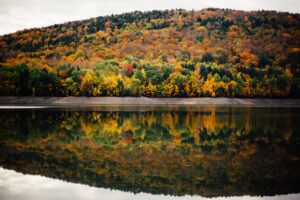 jacob.breinholt.nyc-2022-0364