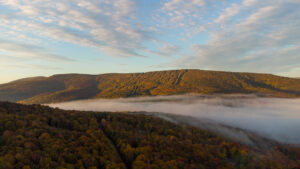 jacob.breinholt.nyc-2022-0437