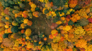 jacob.breinholt.nyc-2022-0512