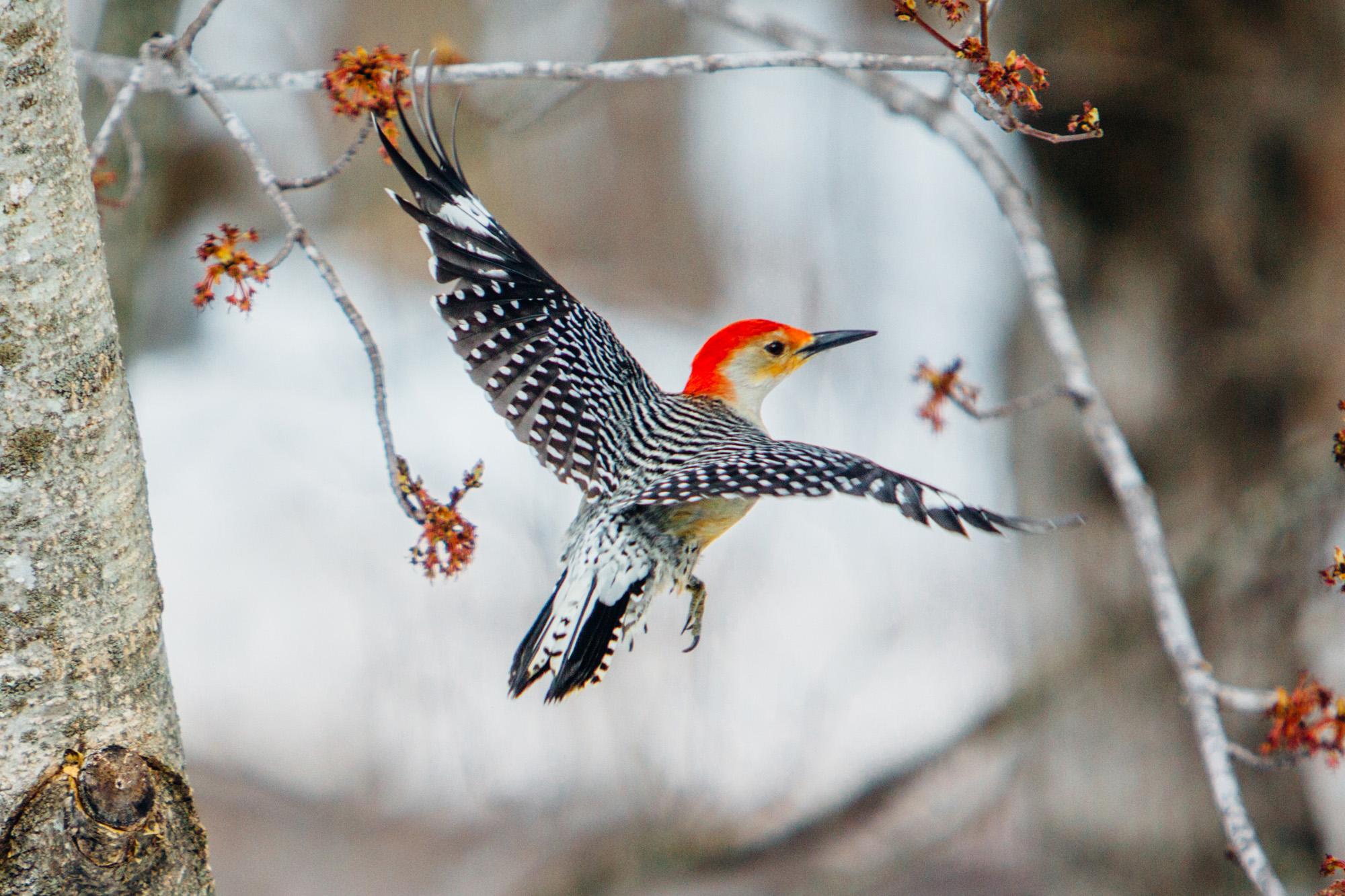 jacob.breinholt.nyc-2022-4353