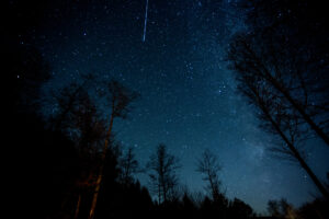 jacob.breinholt.nyc-2022-5190-2