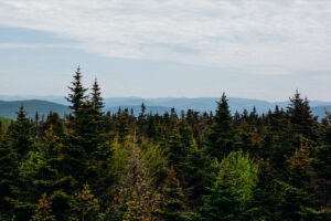 jacob.breinholt.nyc-2022-9617