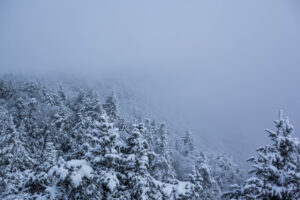 jacob.breinholt.nyc-2023-1813