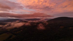 jacob.breinholt.nyc-2023-0835