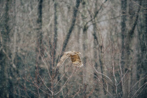 jacob.breinholt.nyc-2023-1075