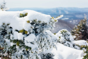 jacob.breinholt.nyc-2023-2548