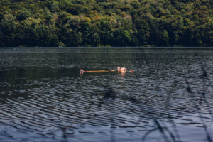 jacob.breinholt.nyc-2023-3761