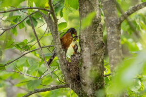 jacob.breinholt.nyc-2023-5534