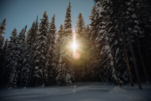 jacob.breinholt.nyc2016-4732