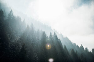 jacob.breinholt.nyc2016-4883