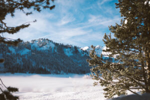 jacob.breinholt.nyc2016-5215