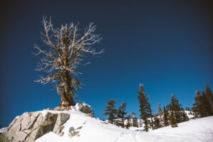 jacob.breinholt.nyc2016-5371