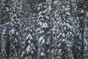 jacob.breinholt.nyc2016-5374