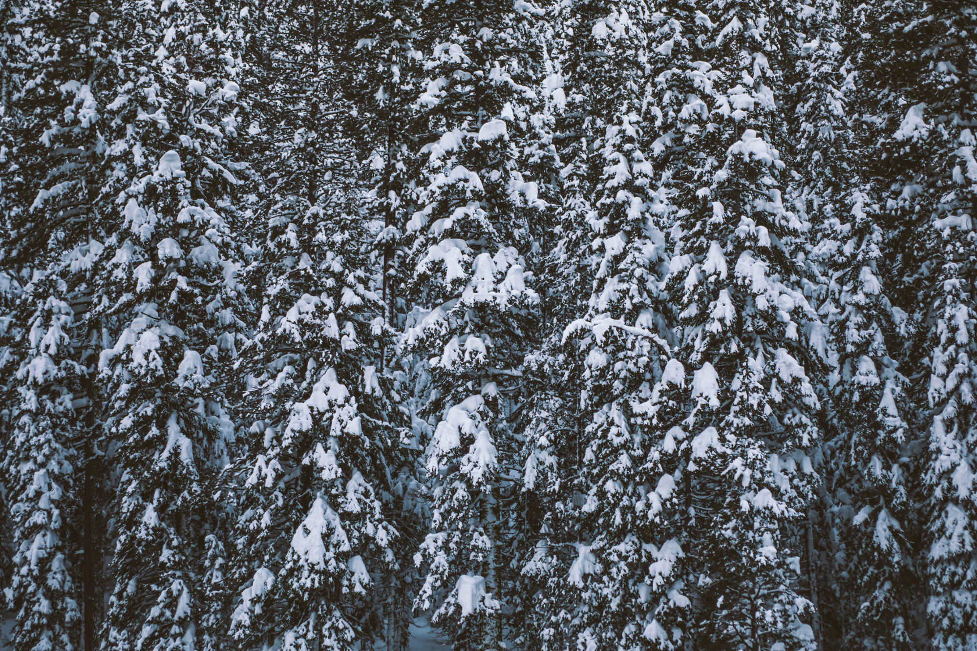 jacob.breinholt.nyc2016-5374