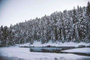 jacob.breinholt.nyc2016-5380