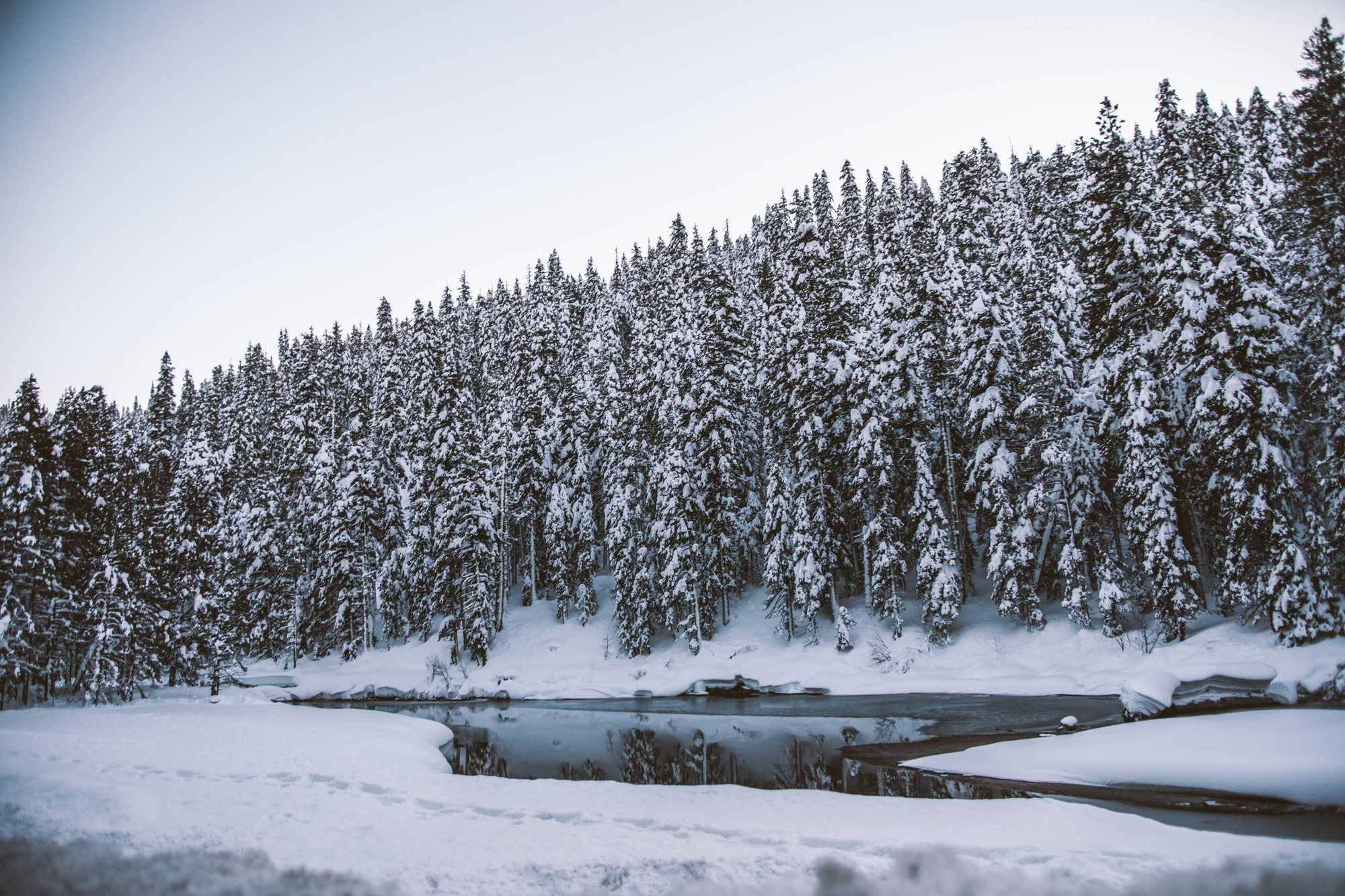 jacob.breinholt.nyc2016-5380