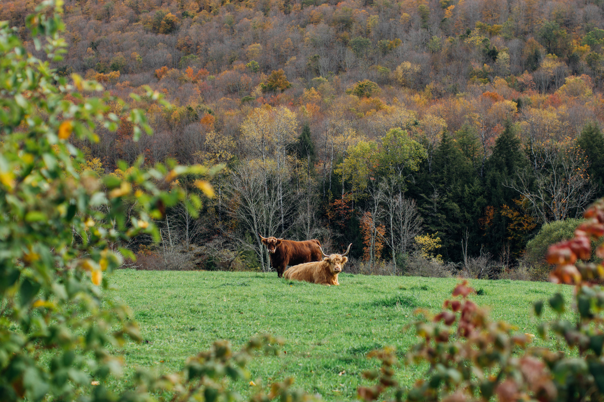 jacob.breinholt.nyc-2023-0605