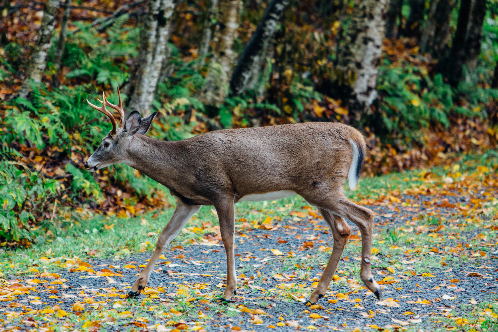 jacob.breinholt.nyc-2023-5584