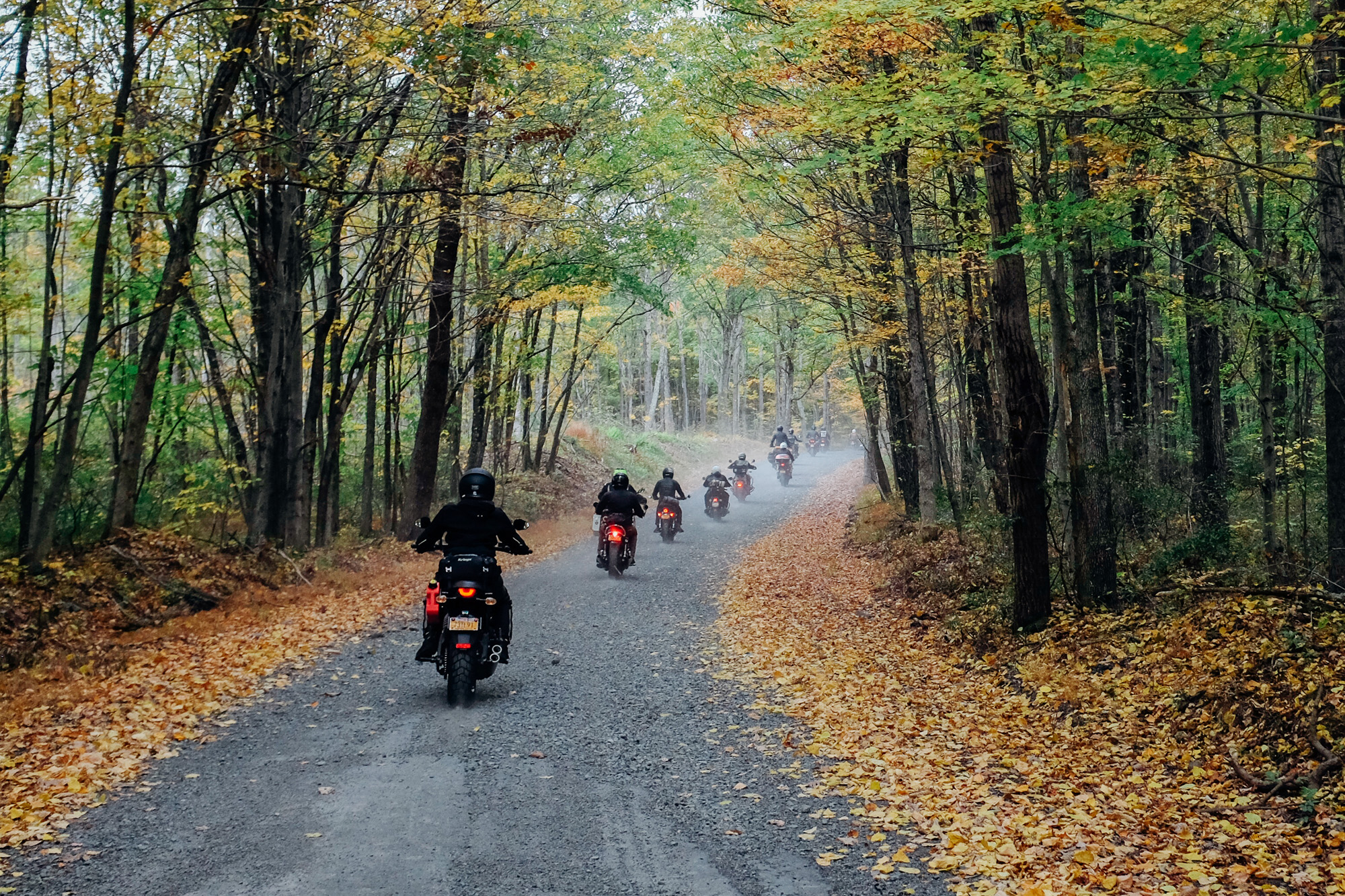 jacob.breinholt.nyc2019-7980